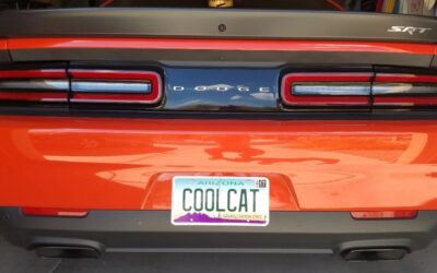 Ideas For Dodge Challenger Vanity License Tags