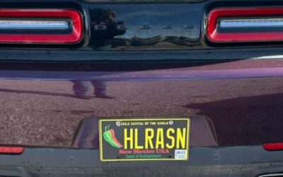 Neat Dodge Challenger Personal License Tags